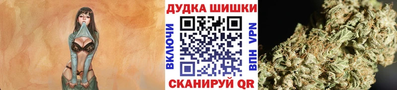 Где купить наркотики Всеволожск Cocaine  А ПВП  Бошки Шишки  МЕФ 