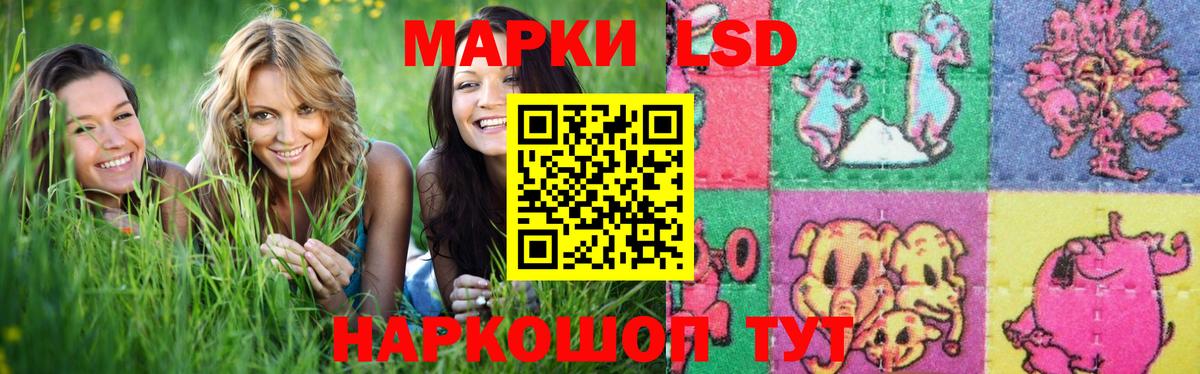 KRAKEN ссылки  Всеволожск  Лсд 25 экстази кислота 