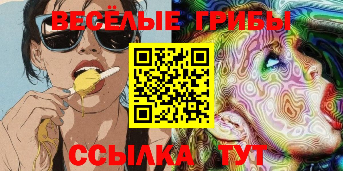 Псилоцибиновые грибы мицелий Всеволожск