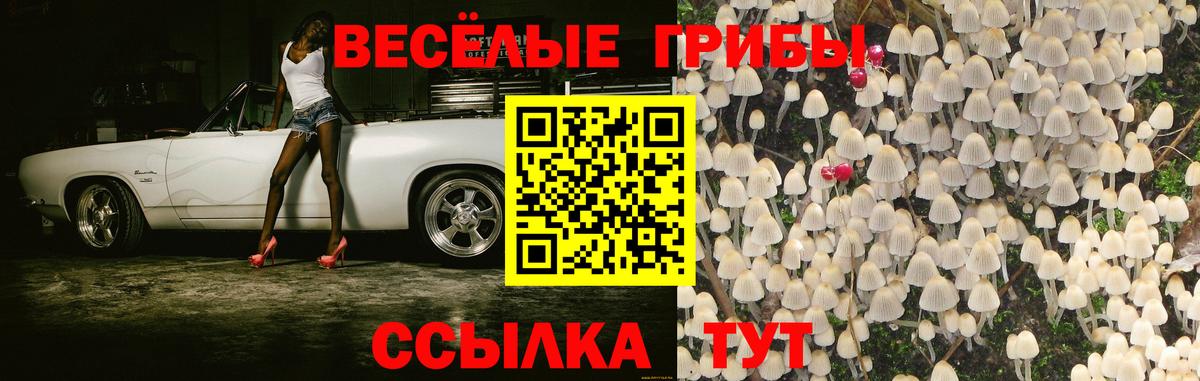 Галлюциногенные грибы мухоморы  Галлюциногенные грибы ЛСД  Всеволожск 