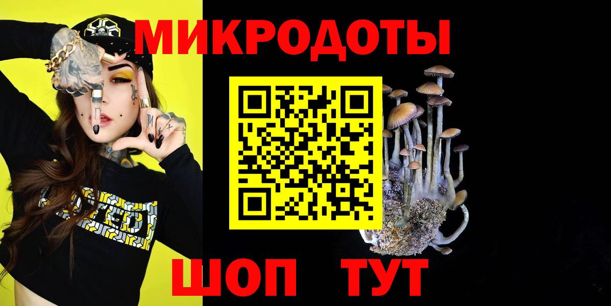 Всеволожск  наркотики  Вход с VPN  Галлюциногенные грибы GOLDEN TEACHER 