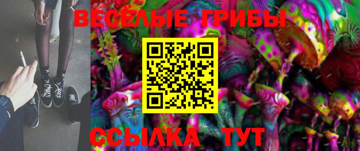 Псилоцибиновые грибы мицелий Всеволожск
