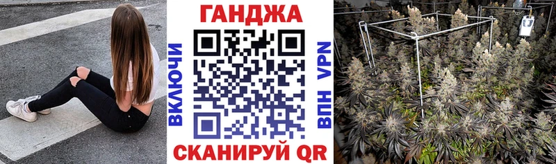 магазин  наркотиков  Всеволожск  Бошки марихуана план 